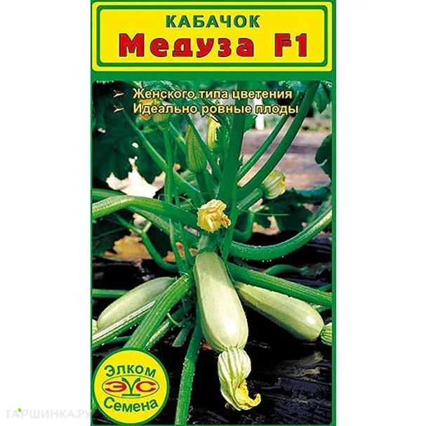 Кабачок Медуза F1 (5 сем.)