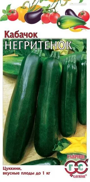 Кабачок Негритенок  ХИТ*3