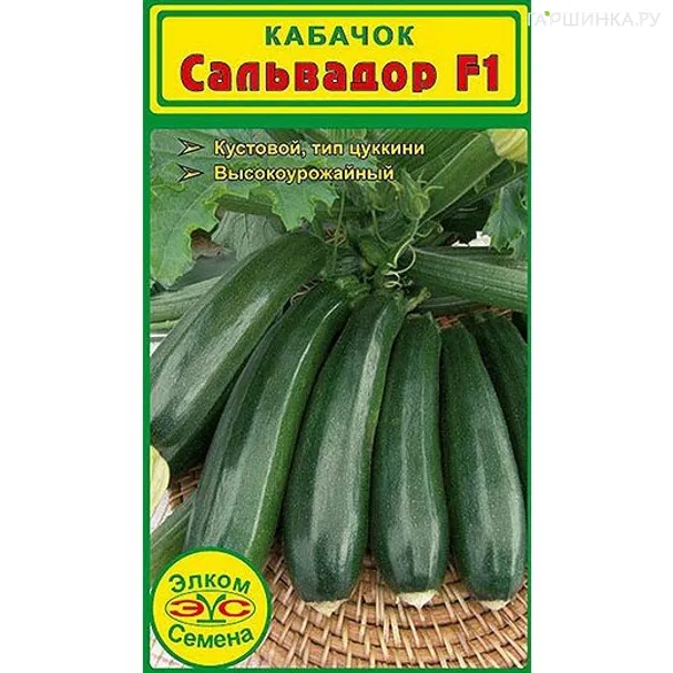 Кабачок Сальвадор F1 (5 сем.)