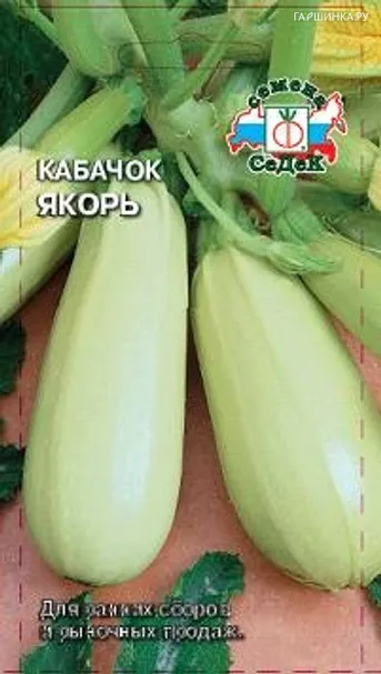 Кабачок Якорь 2г