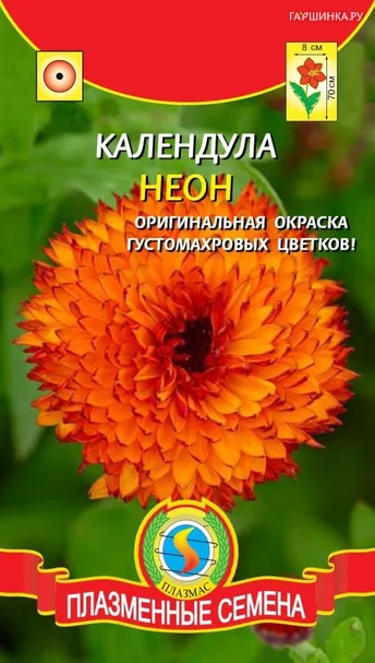Календула Неон