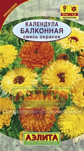 Календула Балконная, смесь окрасок