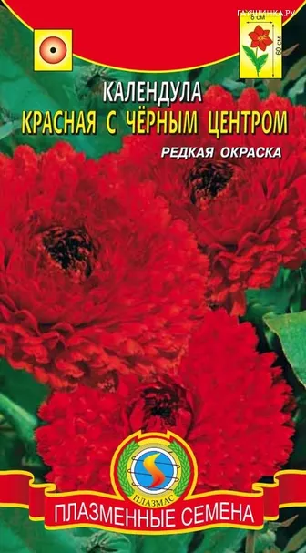 Календула Красная с чёрным центром 0,3 г