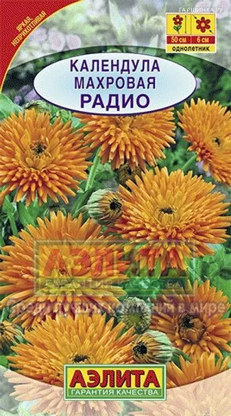 Календула Радио махровая