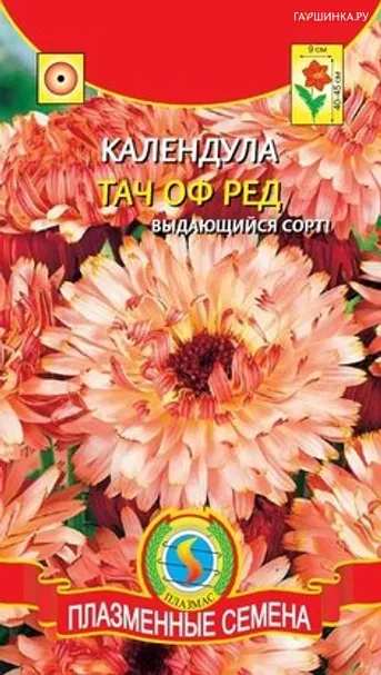 Календула Тач оф Ред