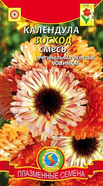 Календула Восход смесь
