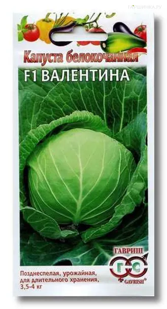 Капуста Валентина F1 белокочанная для хранения 0,1 г