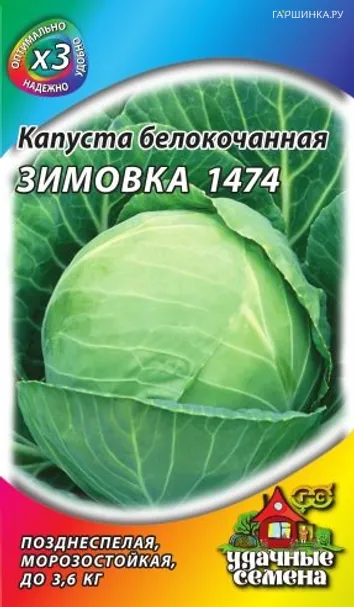 Капуста Зимовка 1474 белокочанная Семена Гавриш