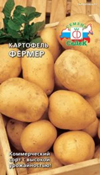 Картофель Фермер, Семена Седек