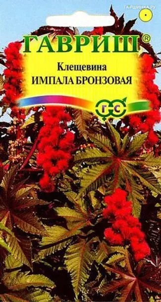 Клещевина Импала бронзовая 5 шт.