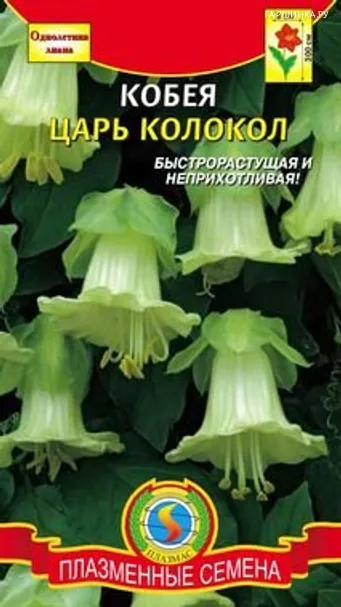 Кобея Царь Колокол