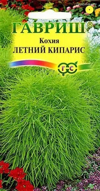 Кохия Летний кипарис веничная 0,3 г, Семена Гавриш