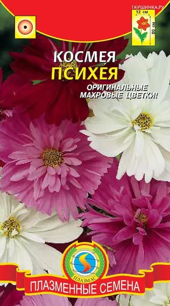 Космея Психея