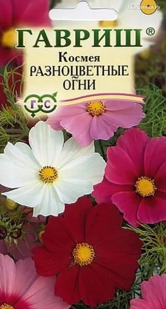 Космея Разноцветные огни 0,5 г