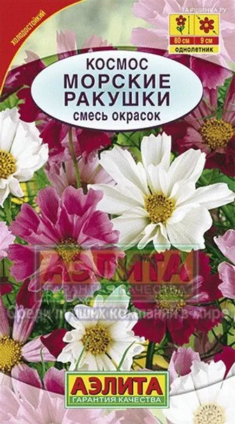 Космос Морские ракушки, смесь окрасок