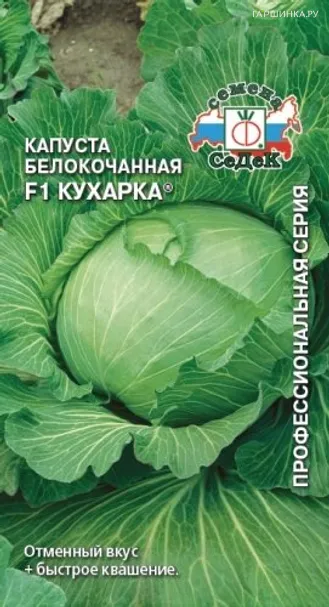 Капуста Кухарка белокочанная