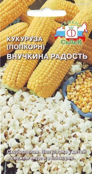 Кукуруза Внучкина Радость 5 г, Семена Седек