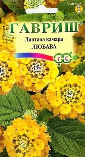 Лантана Камара Любава* 0,1г