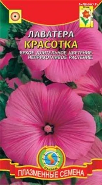 Лаватера Красотка