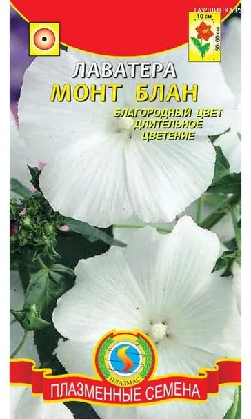 Лаватера Монт Блан
