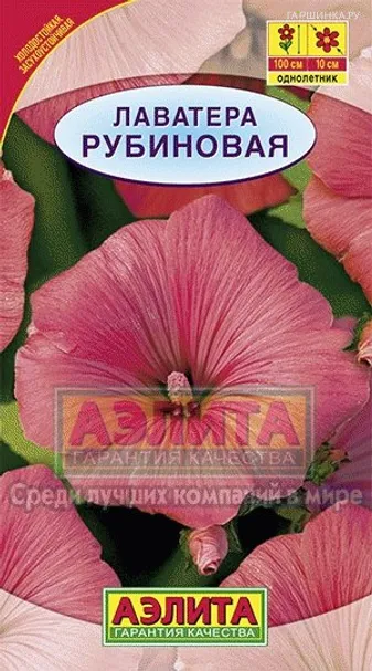 Лаватера Рубиновая