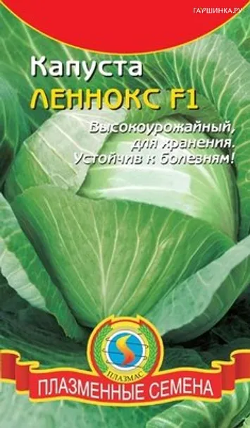 Капуста Леннокс F1 белокочанная