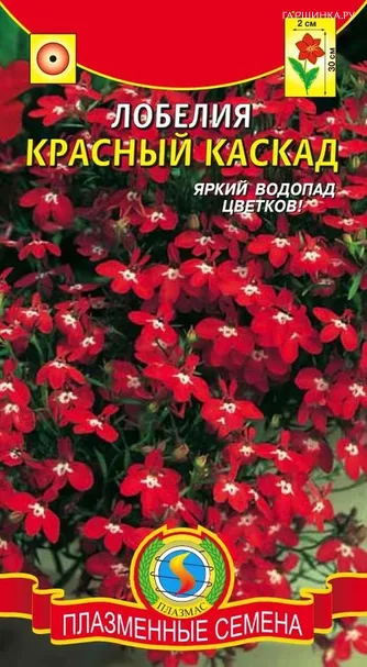 Лобелия Красный каскад