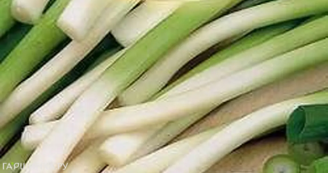 Лук Батун Апрельский 0,6 г, Семена Гавриш