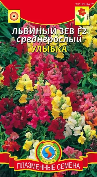 Львиный зев F2 среднерослый Улыбка
