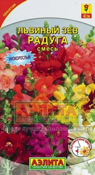 Львиный зев Радуга, смесь окрасок