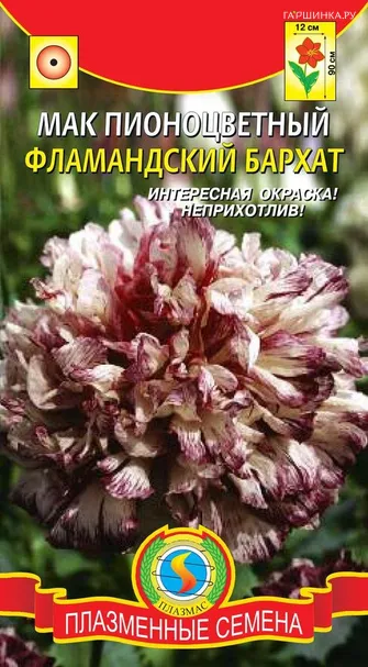 Мак Фламандский бархат пионоцветный