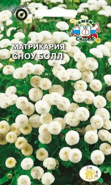 Матрикария Сноу болл