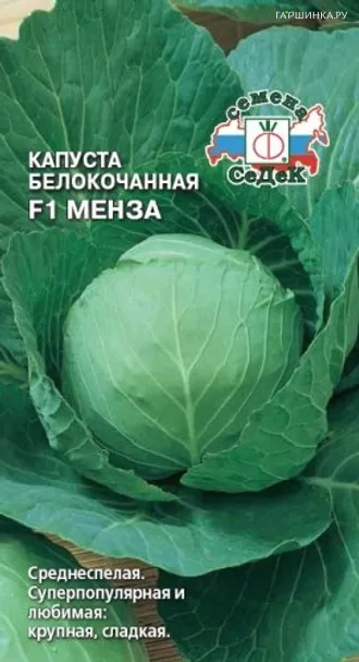 Капуста Менза F1 белокочанная