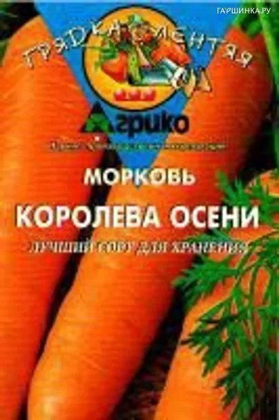 Морковь Королева осени драже 300 шт.