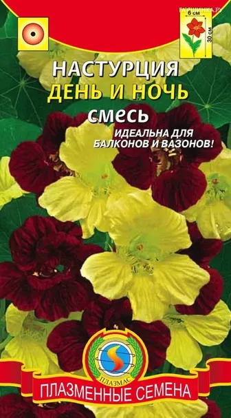 Настурция День и ночь