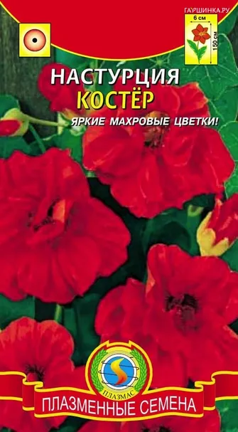 Настурция Костёр (Плазмас), 9шт