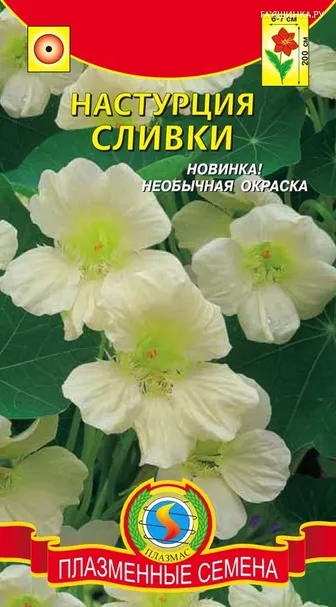 Настурция Сливки