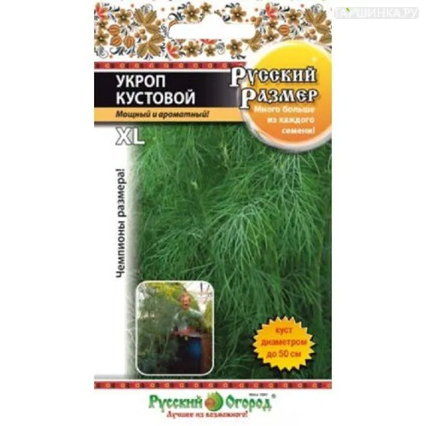 Укроп Русский размер кустовой 200 шт