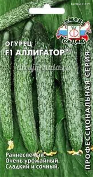 Огурец Аллигатор F1 0.2г