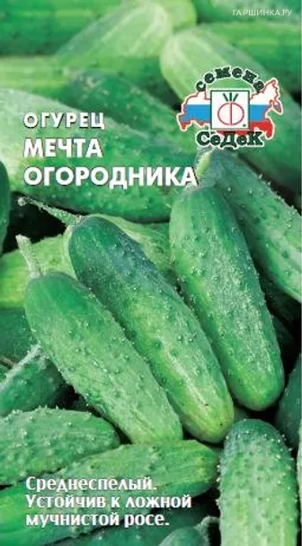 Огурец Мечта огородника F1 0,2г