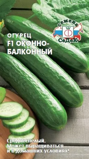 Огурец Оконно-балконный F1 0,2 г, Семена Седек