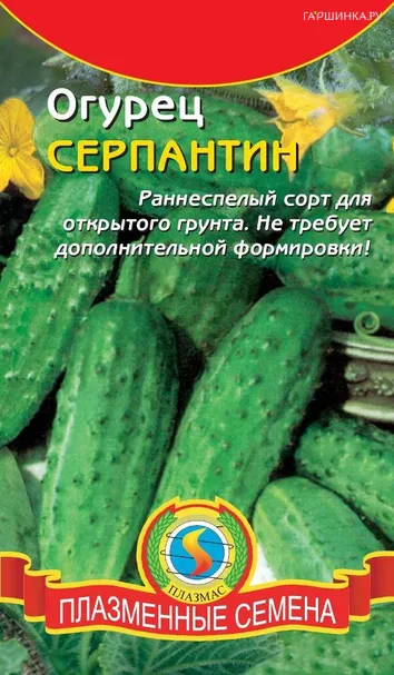 Огурец Серпантин