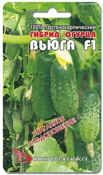 Огурец Вьюга F1