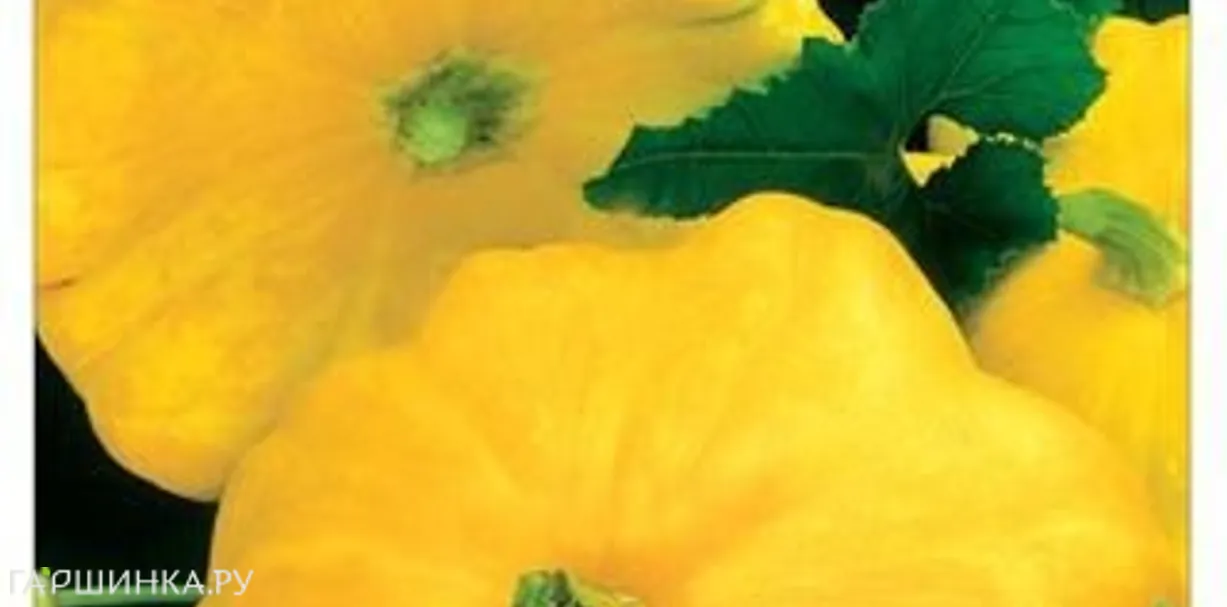 Патиссон Солнышко 1г