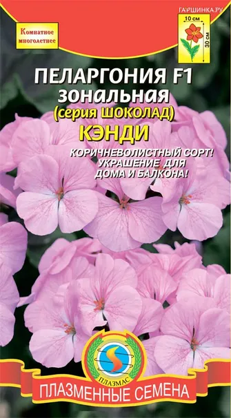 Пеларгония F1 зональная (серия Шоколад) Кэнди