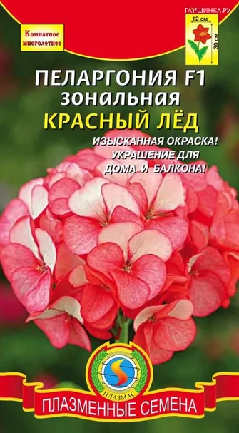 Пеларгония F1 зональная Красный Лёд