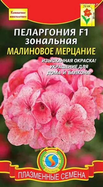Пеларгония F1 зональная малиновое Мерцание