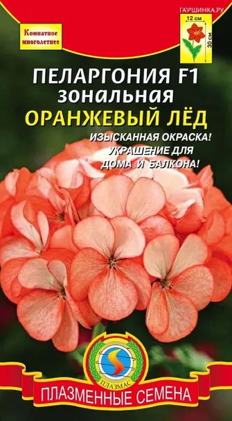 Пеларгония F1 зональная Оранжевый лёд