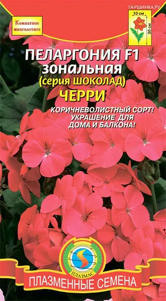 Пеларгония F1 зональная (серия Шоколад) Черри