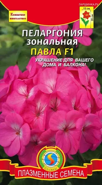 Пеларгония зональная Павла F1, Плазменные семена